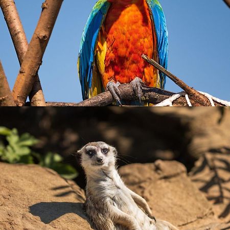 Faunapark Lipova-Lazne Kültér fotó
