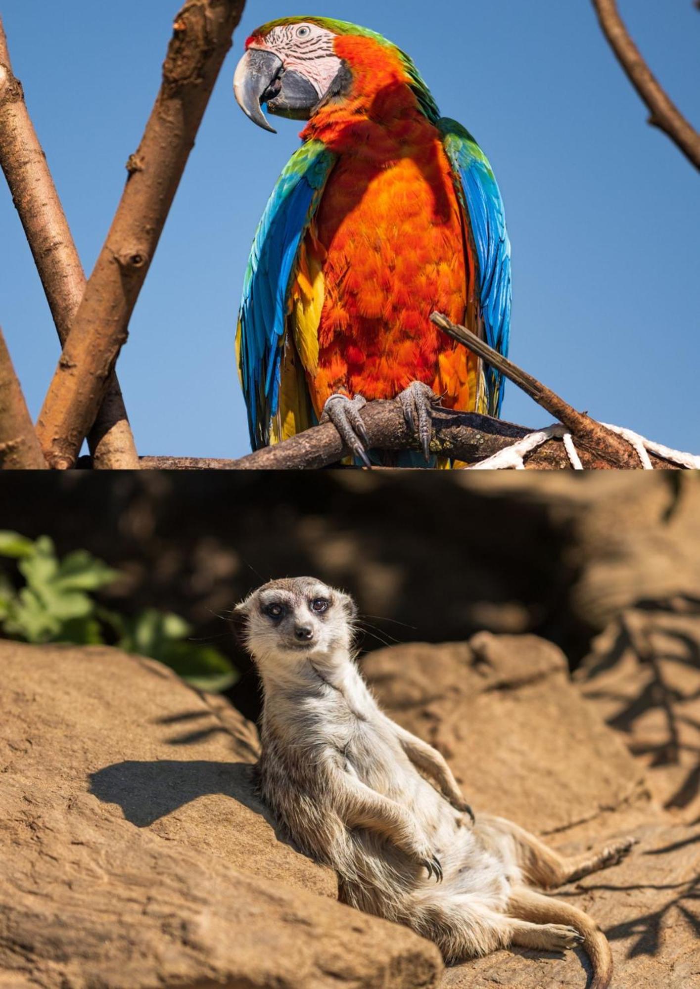 Faunapark Lipova-Lazne Kültér fotó