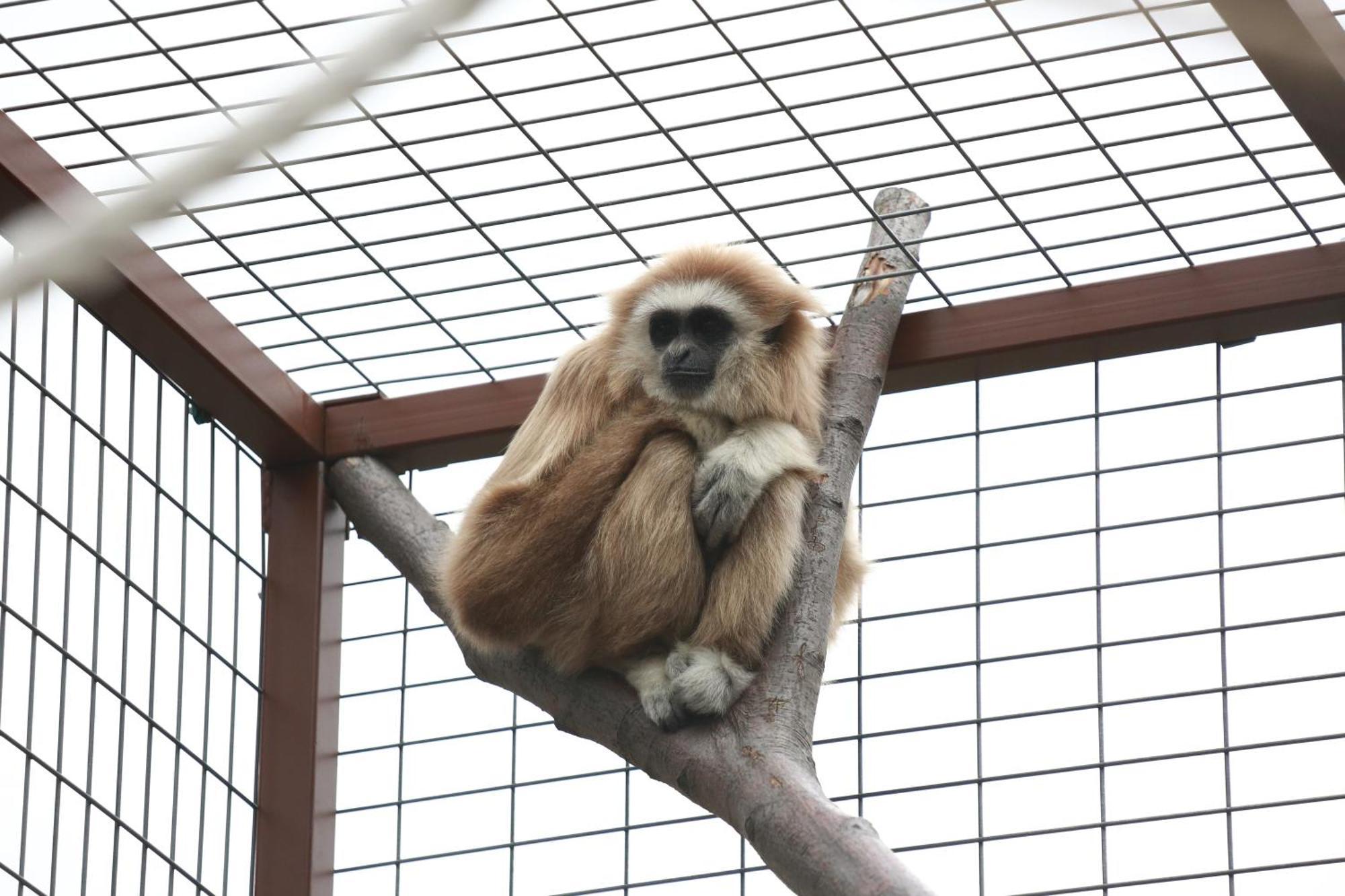 Faunapark Lipova-Lazne Kültér fotó